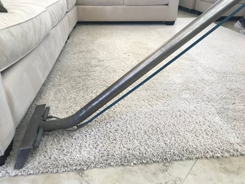 Carpet Cleaning